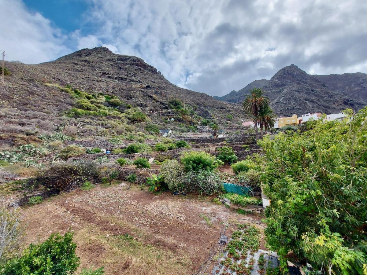 Appartement Casa Ana con Jardin à Punta Del Hidalgo Extérieur photo
